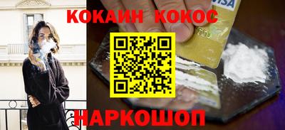 крисы Моздок