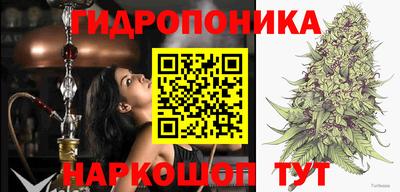 крисы Моздок