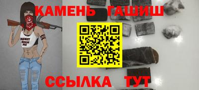 крисы Моздок