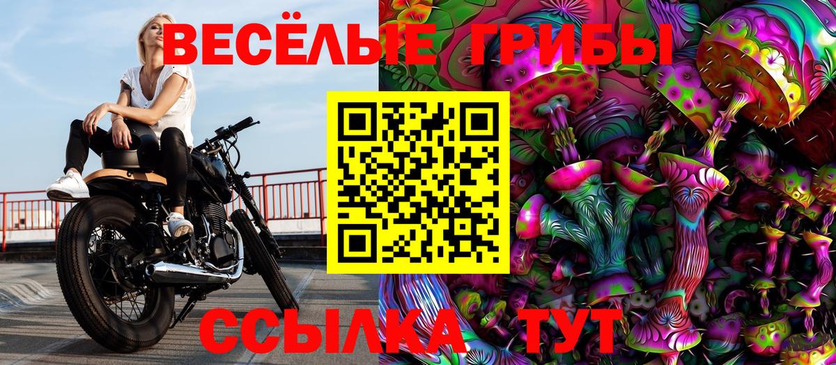 Галлюциногенные грибы прущие грибы Фрязино